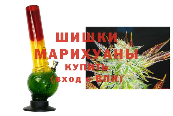 ПСИЛОЦИБИНОВЫЕ ГРИБЫ Баксан