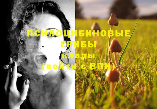 круглые Белокуриха