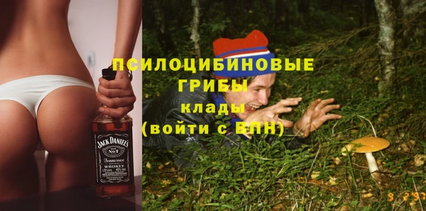 ПСИЛОЦИБИНОВЫЕ ГРИБЫ Баксан