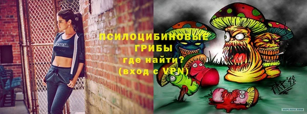 ПСИЛОЦИБИНОВЫЕ ГРИБЫ Баксан
