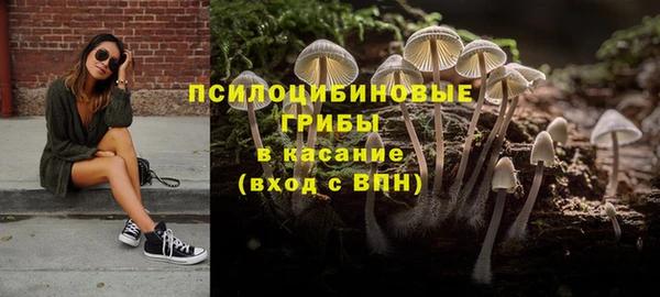 ПСИЛОЦИБИНОВЫЕ ГРИБЫ Баксан