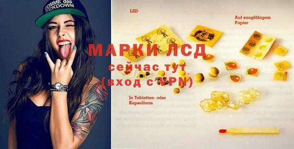 ПСИЛОЦИБИНОВЫЕ ГРИБЫ Баксан