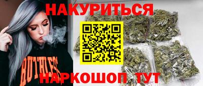 сатива Камышлов