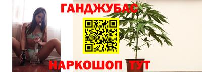 сатива Камышлов