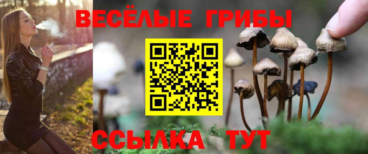 Псилоцибиновые грибы мухоморы Лыткарино