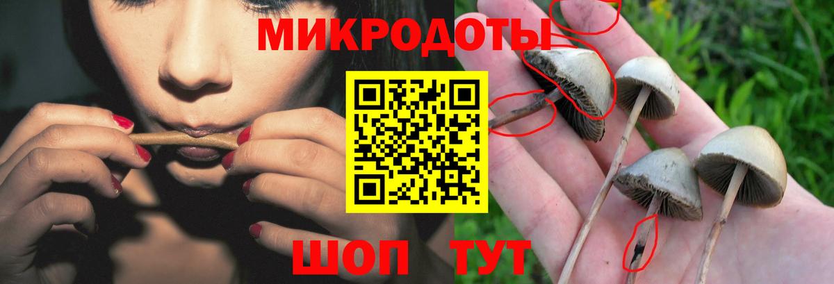 Галлюциногенные грибы GOLDEN TEACHER  Вход с VPN  купить  цена  Лыткарино 